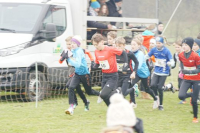 OA Cross