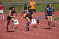 Visana Sprint